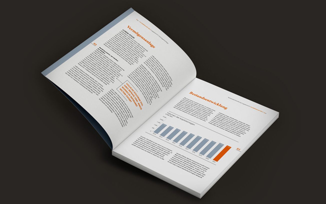 Professionell gestalteter Geschäftsbericht mit Infografiken und Jahreszahlen